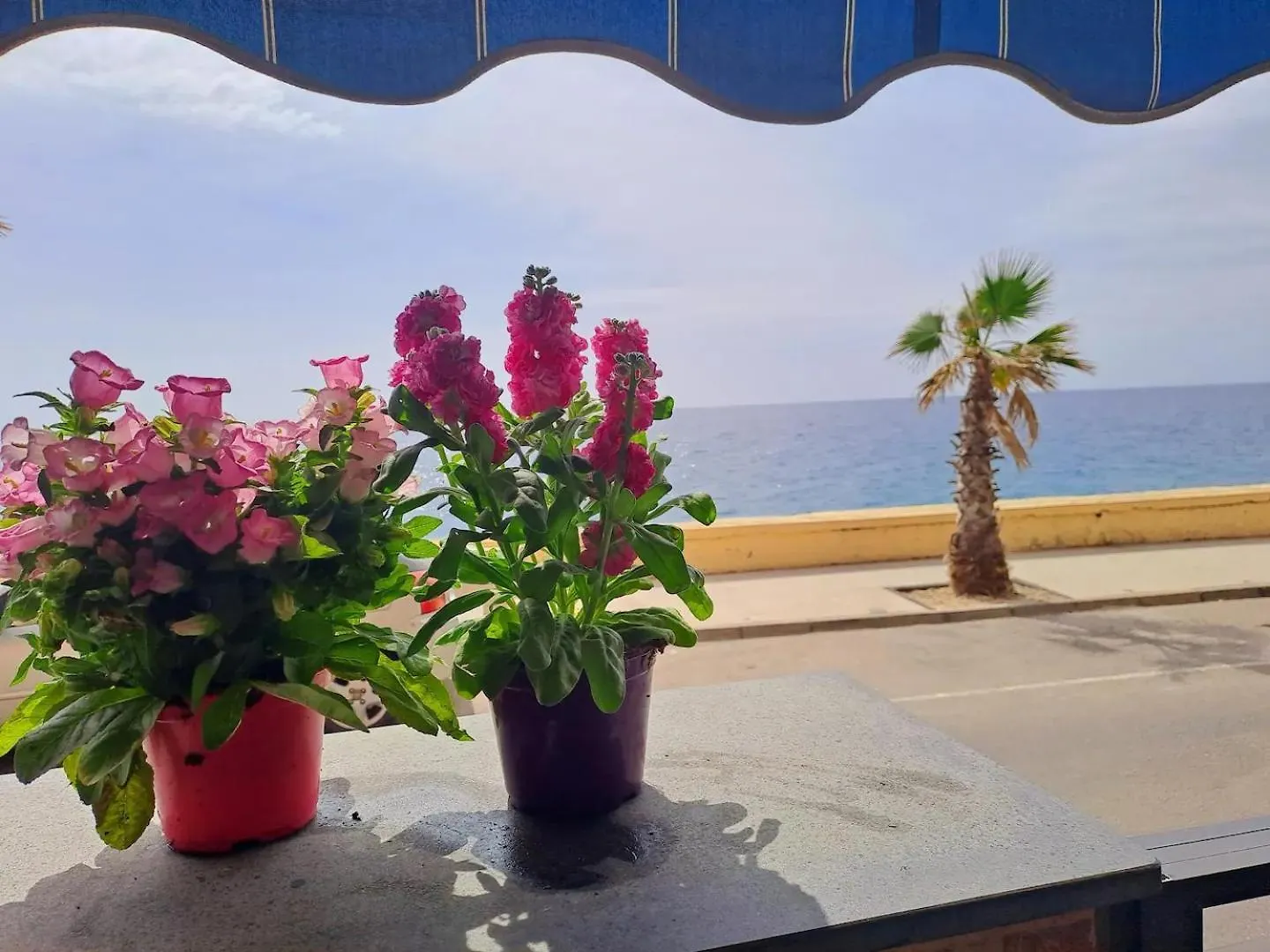 Casa vacanze Villa Casa Michela Letojanni